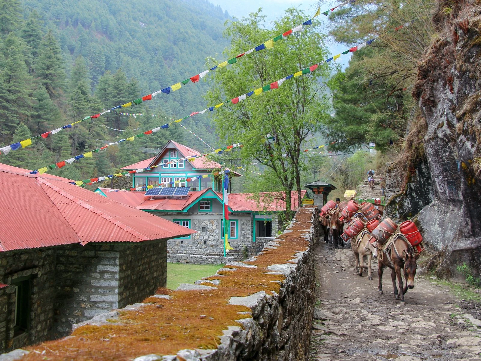 Everest Base Camp Trek